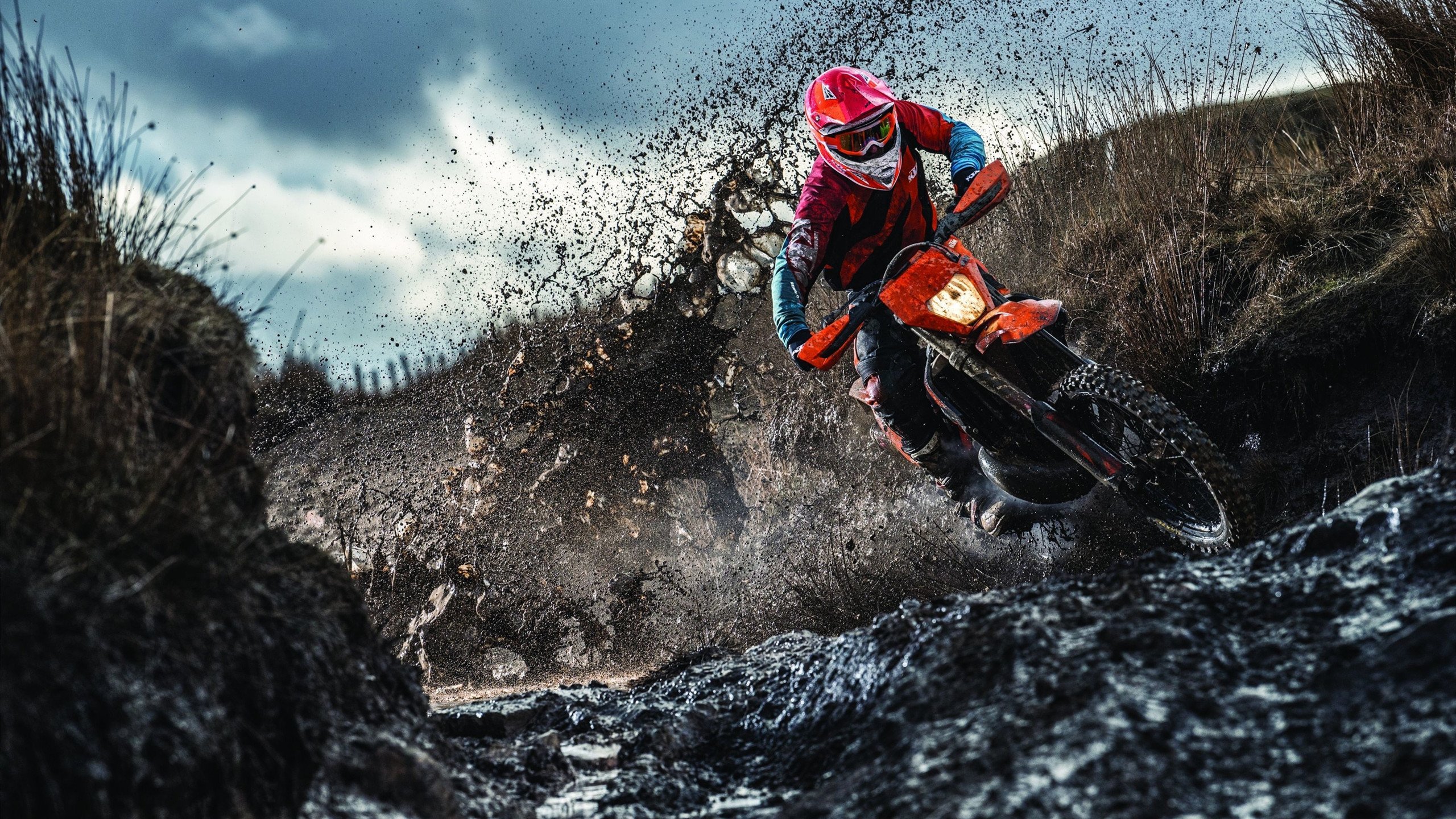 爱游戏电竞官网-自由泳大战南非女将强势出击，自由泳大师