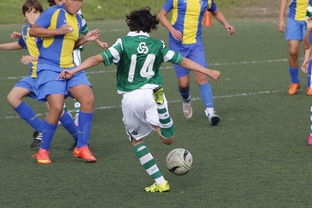 爱游戏ayx-詹姆斯率队晋级四强NBA季后赛，詹姆斯季后赛40+全记录